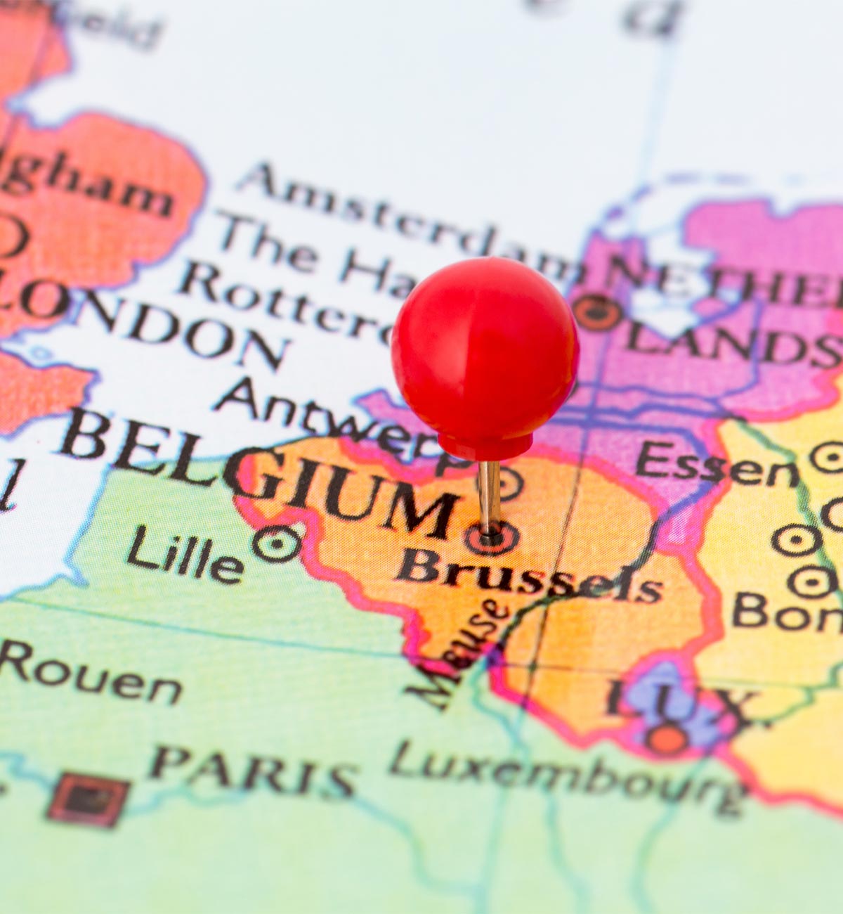 watt4you entreprise locale