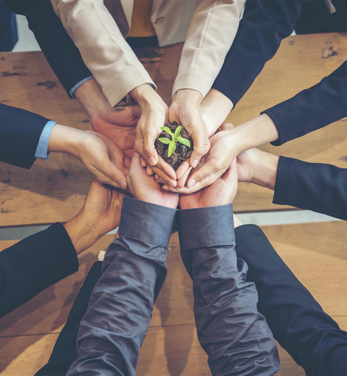 watt4you une relation de confiance